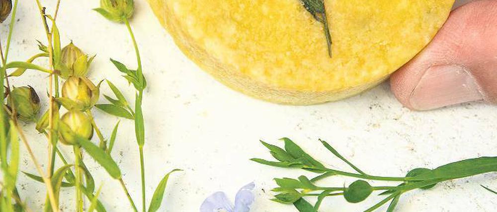 Handgemacht. Eine Leinölseife mit einer getrockneten Pflanze.