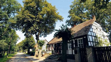 Saniert. Neulietzegöricke ist das Dorf mit der höchsten Fachwerk-Dichte in Brandenburg. Hier wird am kommenden Samstag der erste Lietzer Kolonistentag gefeiert.