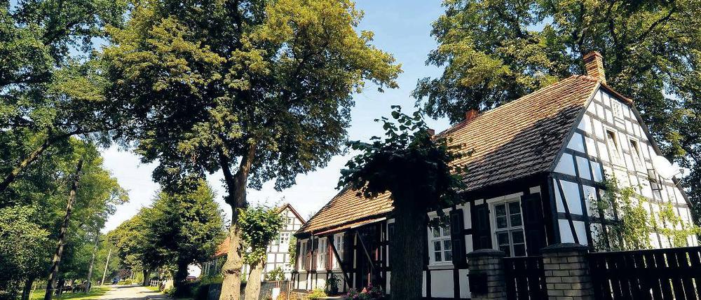 Saniert. Neulietzegöricke ist das Dorf mit der höchsten Fachwerk-Dichte in Brandenburg. Hier wird am kommenden Samstag der erste Lietzer Kolonistentag gefeiert.
