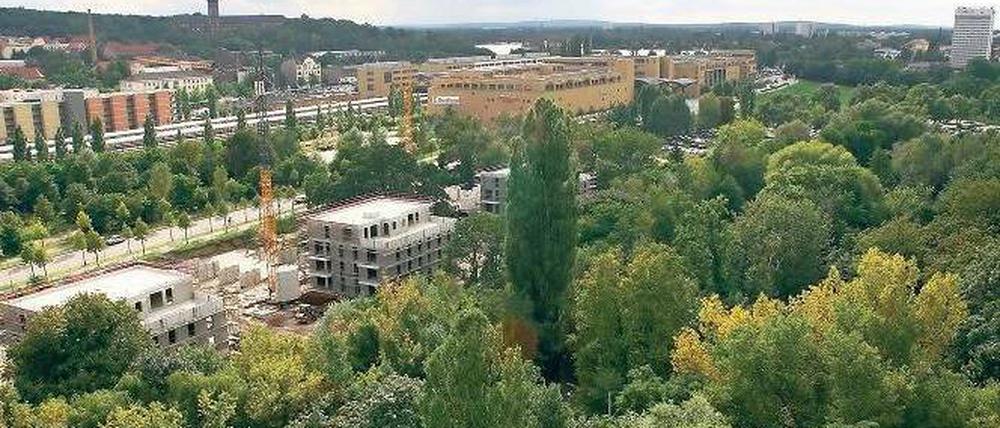 Semmlhaack baut am Bahnhof. Nachdem der Wohnkomplex auf dem alten RAW-Gelände nahezu fertig ist, stehen auf der Wasserseite des Hauptbahnhofs bereits die ersten „Auenhäuser“ im Rohbau. 353 Wohnungen sollen hier insgesamt entstehen.