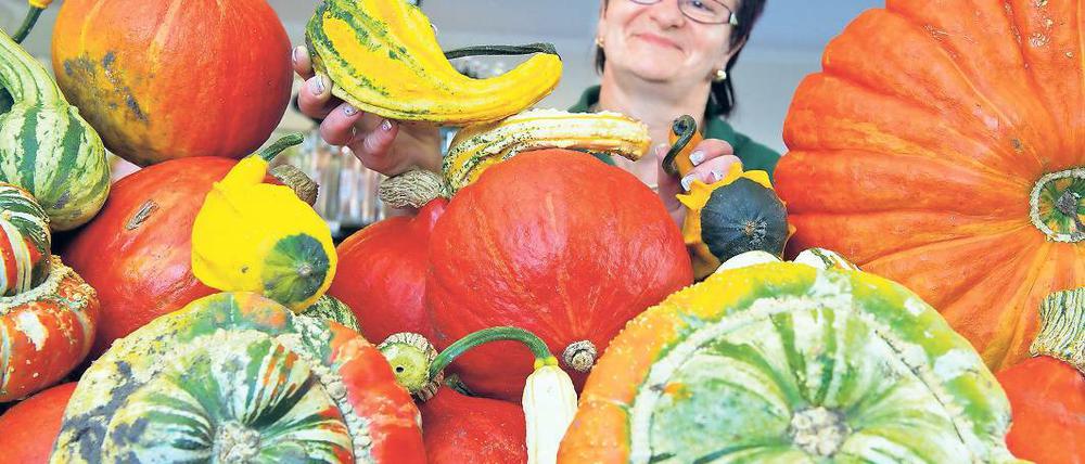 Bunte Vielfalt. Eine große Palette an Kürbissen wird in Zauchwitz angeboten.