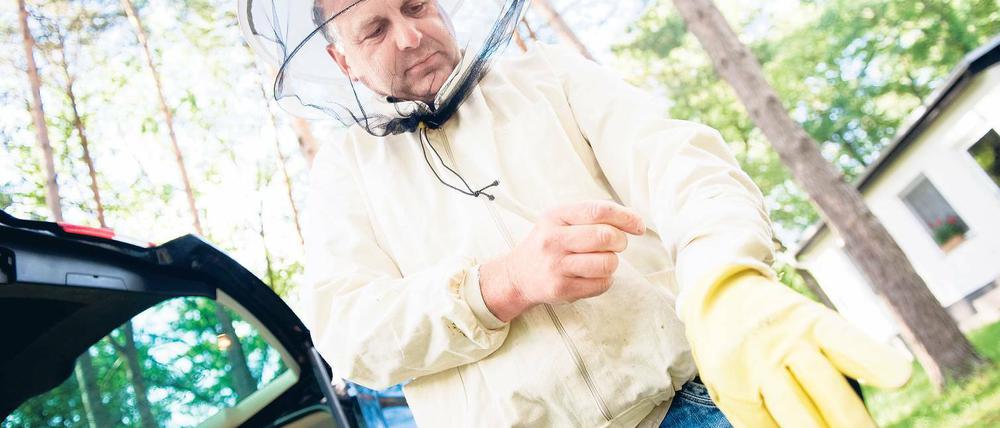 Beschützt. Imker Holger Ackermann legt seine Schutzausrüstung an, um ein Hornissennest zu begutachten.