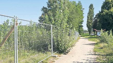 Ziemlich zugewachsen. Wo nach Willen des Investors künftig die Ventehalle als Ausflugsgaststätte stehen soll, wuchert das Unkraut. Eigentümer Linckersdorff sagt, er könne ohne Baugenehmigung dort nicht einschreiten.