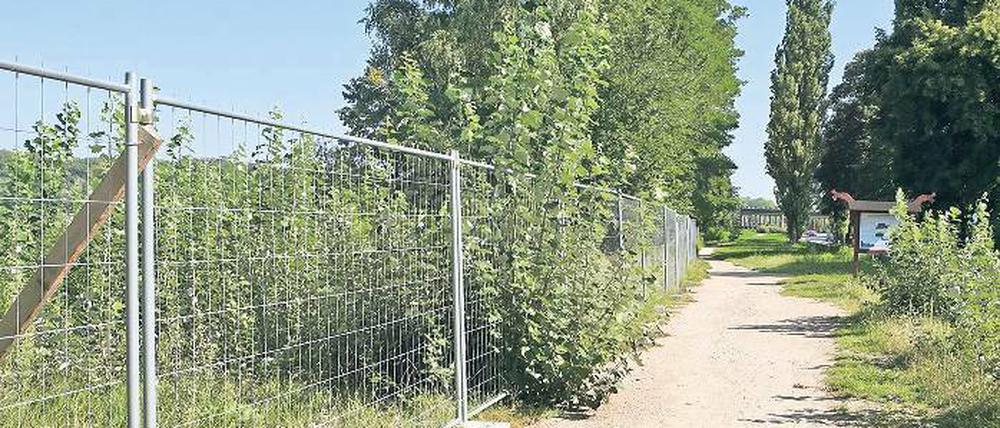 Ziemlich zugewachsen. Wo nach Willen des Investors künftig die Ventehalle als Ausflugsgaststätte stehen soll, wuchert das Unkraut. Eigentümer Linckersdorff sagt, er könne ohne Baugenehmigung dort nicht einschreiten.