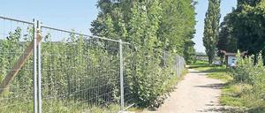 Ziemlich zugewachsen. Wo nach Willen des Investors künftig die Ventehalle als Ausflugsgaststätte stehen soll, wuchert das Unkraut. Eigentümer Linckersdorff sagt, er könne ohne Baugenehmigung dort nicht einschreiten.