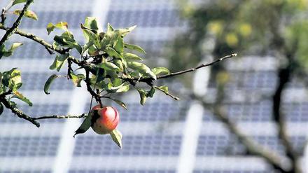Michendorfer Wahrzeichen: Wie der Apfelbaum prägen immer öfter auch Photovoltaikanlagen das Bild in den Orten.