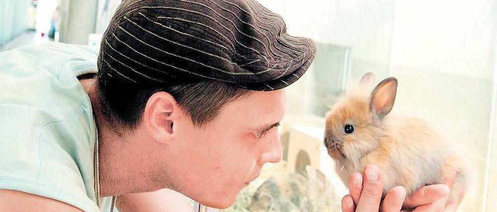 Hallo Häschen. Potsdamer Interessenten für Tiere, die ein neues Zuhause suchen, müssen derzeit nach Beelitz ins „Pfötchenhotel“ fahren. Dorthin werden die Fundtiere gebracht, weil es in der Landeshauptstadt seit Jahren kein Tierheim gibt.