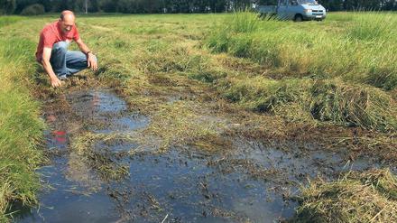 Land unter. Auf den Feldern von Piet van Casteren steht das Wasser an einigen Stellen knöchelhoch. Vor allem die Futterwiesen haben die starken Regenfälle in einen Sumpf verwandelt.