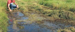 Land unter. Auf den Feldern von Piet van Casteren steht das Wasser an einigen Stellen knöchelhoch. Vor allem die Futterwiesen haben die starken Regenfälle in einen Sumpf verwandelt.