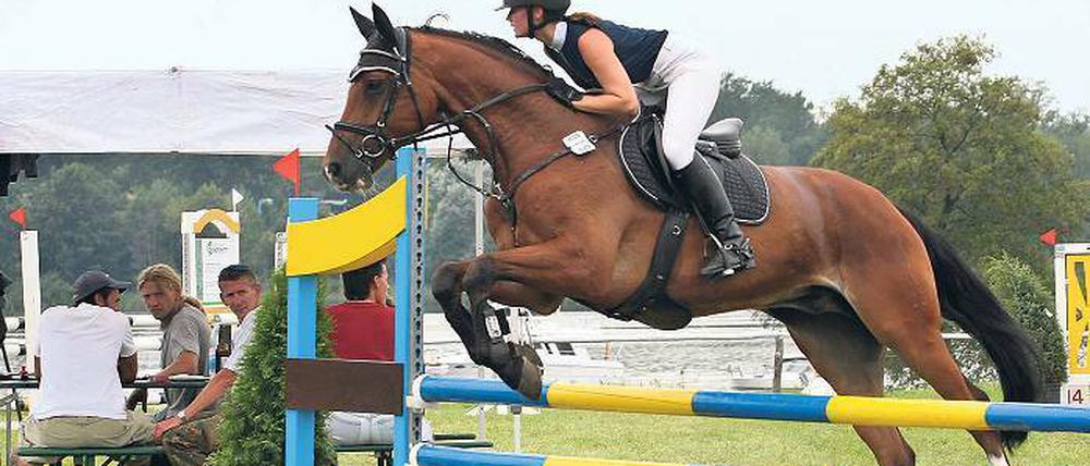 Fehlerfrei. Jennifer Sieg legte am Sonntag auf „Casanova“ eine makellose Springleistung hin. Zum erstmals in Krampnitz ausgetragenen Springreitturnier hatten sich am Wochenende bei besten Wetterbedingungen 130 Amateur-Reiter angemeldet. Rund 150 Pferdeliebhaber schauten den Sportlern zu.