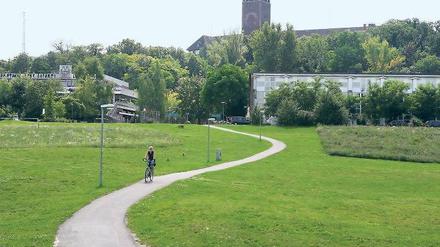 Auf der grünen Wiese. Noch wird der Brauhausberg von zwei DDR-Gebäuden dominiert, dem „Minsk“ und der Schwimmhalle. Ob das abrissreife sozialistische Altlasten sind oder ob sie auf die Denkmalliste gehören, wird derzeit geklärt.