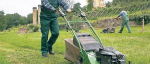 Rasenmäher statt Lauschangriff. Bundesinnenminister Hans-Peter Friedrich (CSU) hat am Mittwoch auf dem Potsdamer Klausberg seinen Ministerposten eingetauscht. Er pflanzte Bäume und mähte Rasen.