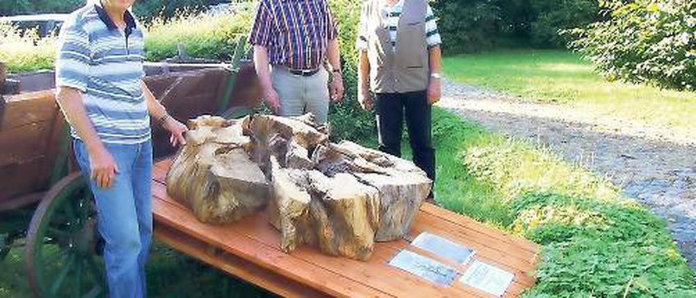 Hüter der Linde: Die Geltower Karl-Heinz Birkholz, Albrecht Herrmann und Horst Geßwein (v.l.).