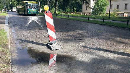 Ramponiert. Das Kleinsteinpflaster in der Maulbeerallee leidet unter der Verkehrsbelastung. Regenwasser sammelt sich an tiefen Stellen. Jedes Jahr gibt die Stadt Geld aus, um die Straße an einer anderen Stelle zu flicken.