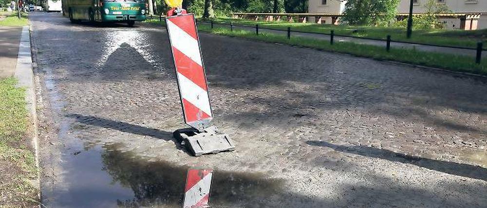 Ramponiert. Das Kleinsteinpflaster in der Maulbeerallee leidet unter der Verkehrsbelastung. Regenwasser sammelt sich an tiefen Stellen. Jedes Jahr gibt die Stadt Geld aus, um die Straße an einer anderen Stelle zu flicken.