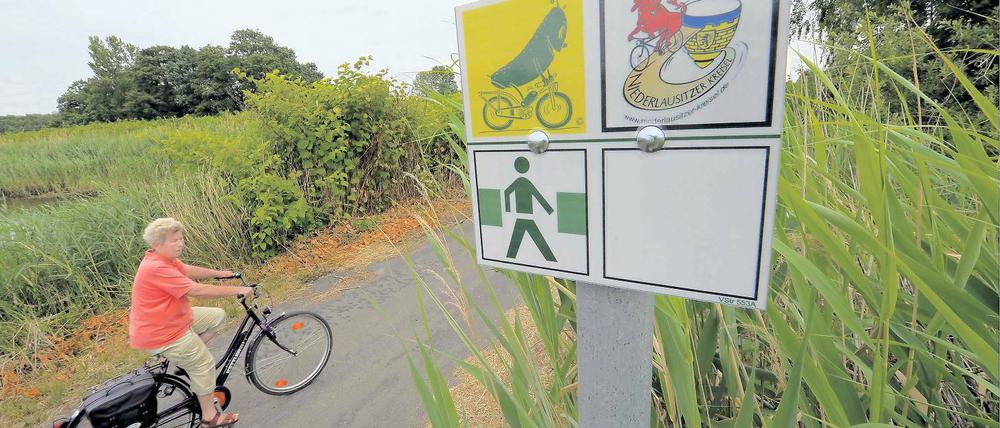 Immer der Gurke nach. 250 Kilometer lang ist der Radweg.