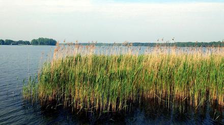 Still ruht der See. Seit knapp einem halben Jahr wartet der Bund für sein Seenpaket auf ein Kaufpreisgebot des Landes Brandenburg. Zwar will Rot-Rot die Gewässer unbedingt haben, doch dafür bezahlt werden soll möglichst nichts.