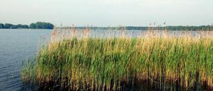 Still ruht der See. Seit knapp einem halben Jahr wartet der Bund für sein Seenpaket auf ein Kaufpreisgebot des Landes Brandenburg. Zwar will Rot-Rot die Gewässer unbedingt haben, doch dafür bezahlt werden soll möglichst nichts.