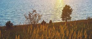 Angebot vorgelegt. Die untergehende Sonne scheint über dem Sedlitzer See in Südbrandenburg. Nach langem Tauziehen soll der Streit um brandenburgische Gewässer endlich beendet werden.