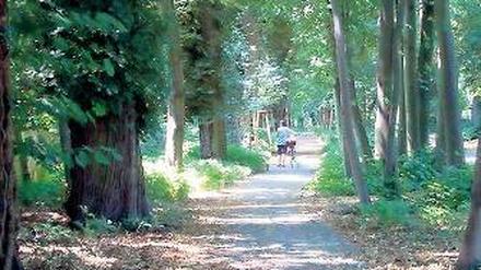 Grünes Schattendach. Der neue Weg wird gut angenommen.