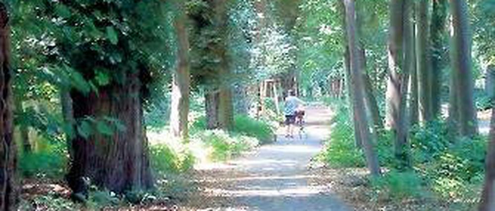 Grünes Schattendach. Der neue Weg wird gut angenommen.