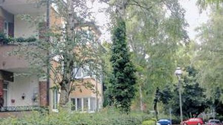 Der 91-Jährige wohnt in einer ruhigen Reinickendorfer Nebenstraße.