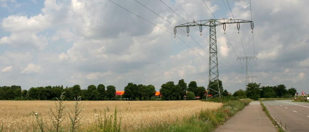 Noch ist es Acker. Am Freitag ist Baustart im Friedrichspark. 20 Hektar will ein chinesisches Unternehmen mit Photovoltaikplatten bestücken.
