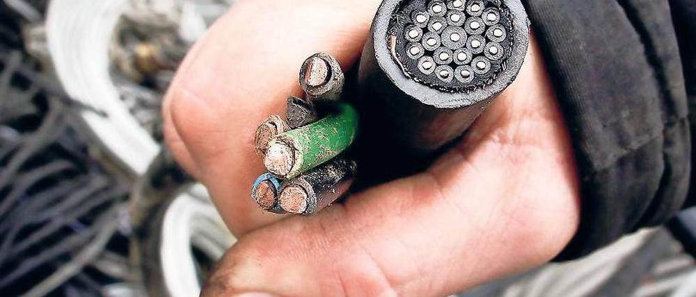 Kupferklau. Die Deutsche Bahn will verstärkt gegen Buntmetalldiebe vorgehen. Im vergangenen Jahr sind bundesweit 8000 Züge beeinträchtigt worden, weil Metallteile an den Strecken abmontiert wurden – ein Schaden von zehn Millionen Euro.