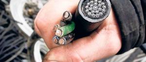 Kupferklau. Die Deutsche Bahn will verstärkt gegen Buntmetalldiebe vorgehen. Im vergangenen Jahr sind bundesweit 8000 Züge beeinträchtigt worden, weil Metallteile an den Strecken abmontiert wurden – ein Schaden von zehn Millionen Euro.