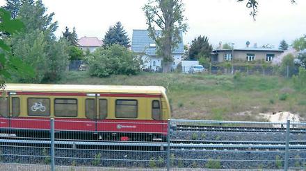Rauscht bald öfter durch Teltow: S 25 im Zehn-Minuten–Takt.