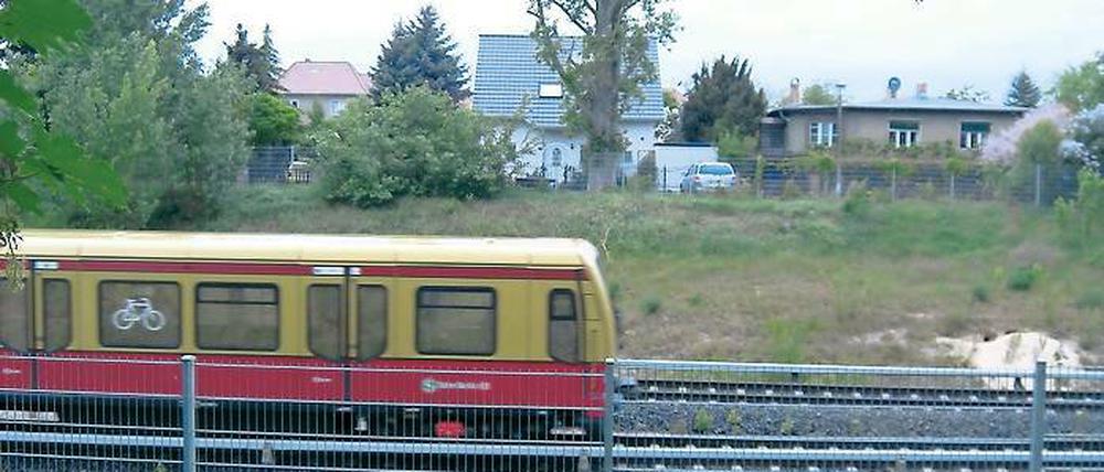 Rauscht bald öfter durch Teltow: S 25 im Zehn-Minuten–Takt.