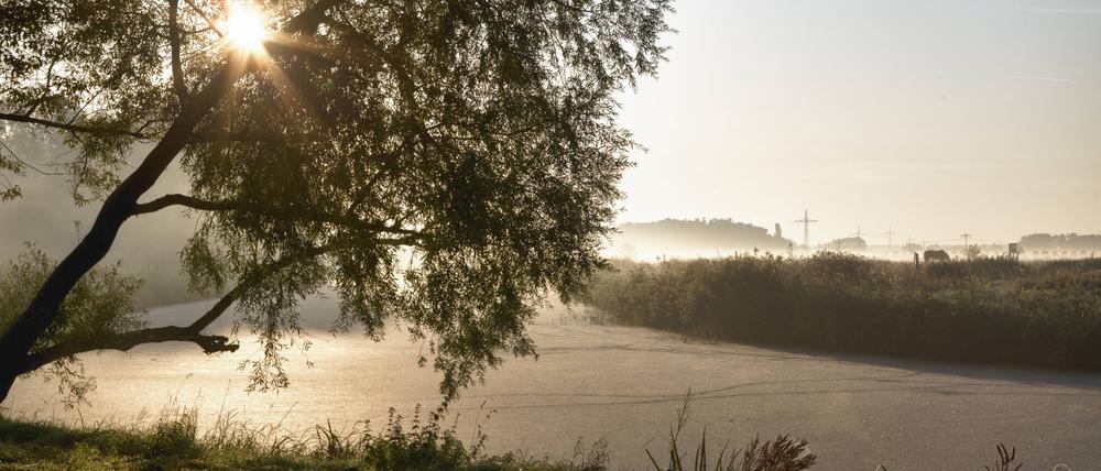 Erste Sommerstrahlen. Der Havelkanal bei Buckow-Karpzow, Brandenburg.