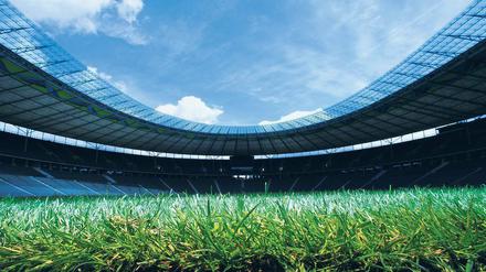 Olympiareif. Zumindest was die Sportstätten angeht, ist Berlin schon gut gerüstet. Das Stadion, das einst für die Spiele 1936 gebaut worden war, wurde für die Fußball-WM komplett saniert. Auch stehen etliche Großhallen in der Stadt zur Verfügung.