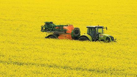 Neue Energie. Raps, Mais oder Sonnenblumen bauen Landwirte mittlerweile auch an, um daraus Biodiesel zu gewinnen. In Zukunft könnten die heimischen Bauern noch stärker von der Energiewende profitieren, meinen Forscher des Instituts für Agrartechnik. So könnte etwa Gülle zu Biogas verarbeitet werden.