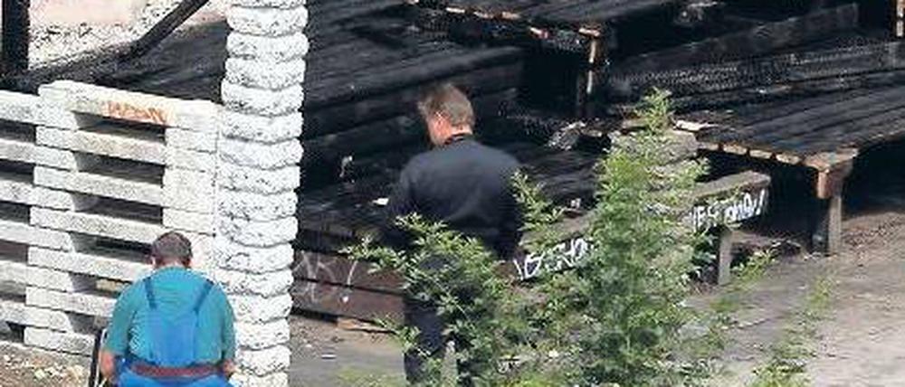 Verbrannt. Hier entdeckte die Feuerwehr zwei verkohlte Leichen.