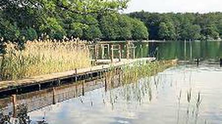 Stille Winkel am Wasser kann man natürlich auch zu Fuß entdecken.
