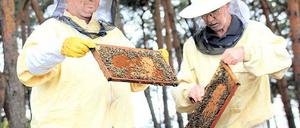 Bienen-Bauer Mathias Wandel (l.) und sein Pate Werner Beelitz.