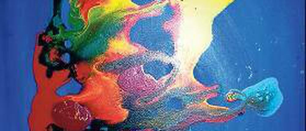 Das „Farbspiel“. (Ausschnitt) von Rosa Rux.