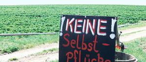 Für Selbstpflücker ist der Ertragsausfall im Werderaner Raum zu groß.