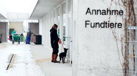 Nicht in Potsdam: So sieht es im Tierheim in Berlin-Falkenberg aus, dass dort der örtliche Tierschutzverein betreibt. In Potsdam dagegen stehen die Planungen für ein neues Tierheim, es sollte in Fahrland entstehen, einmal mehr vor dem Aus.