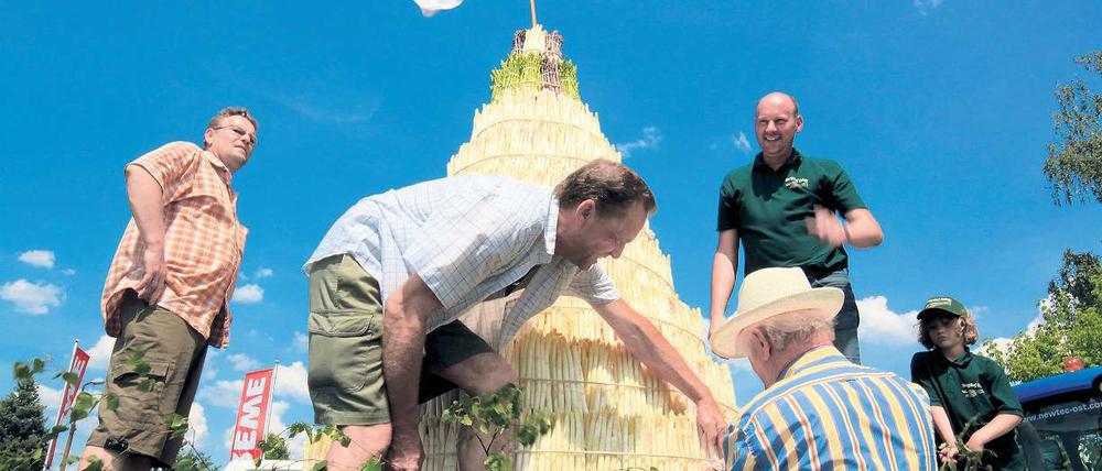 Ein Wahrzeichen geht auf Reisen: Zum Festausklang bestückten die Beelitzer gestern ihre Spargelpyramide.
