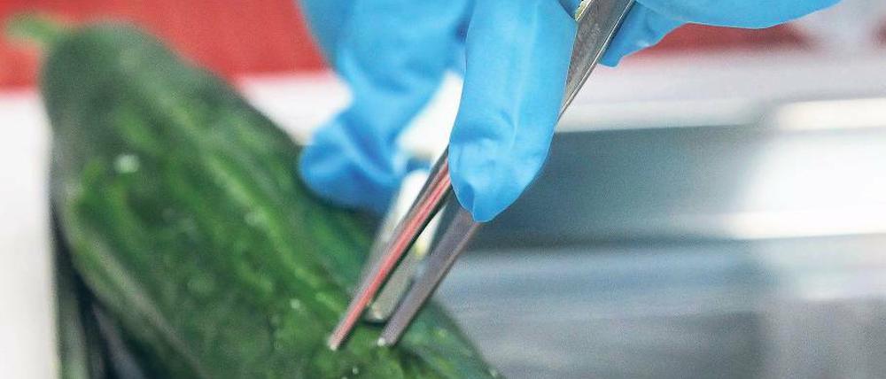 Geschnippelt wird nur noch im Labor. Viele Kunden sind besorgt und verzichten in diesen Tagen lieber auf den Verzehr von Gurken. Und auch die Lebensmittelkontrolleure haben mehr zu tun.