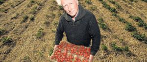 Wenigstens Erdbeeren. Bei Obstbauer Gerhard Neumann in Bornim wurde am Freitag die brandenburgische Erdbeersaison eröffnet. Die Freude darüber ist in diesem Jahr getrübt: Wegen Frostschäden rechnen die Obstgärtner mit massiven Ernteausfällen.