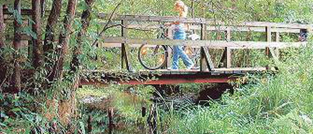 Natur pur. Durch das idyllische Tal der Briese verläuft Tour 7.