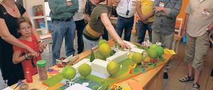 Garten im Modell. 40 Treffpunkt-Förderer beriet über die Gestaltung.