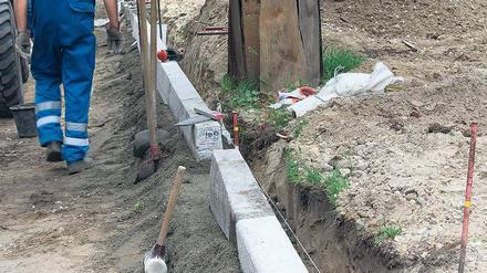 Hart an der Kante: Straßenbau und Baumerhalt sind schwer vereinbar.