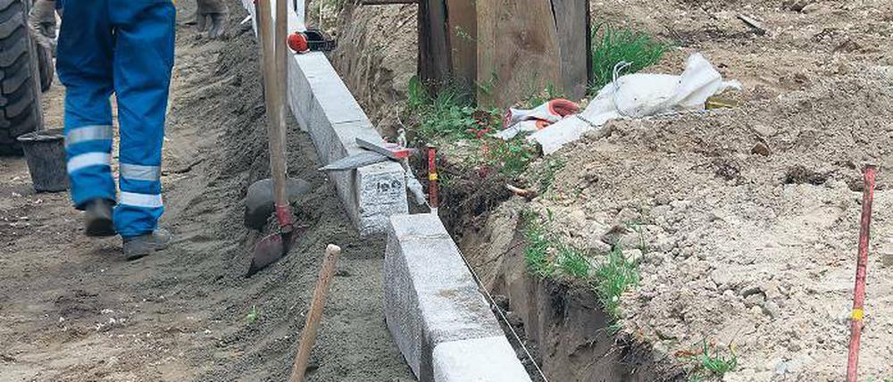 Hart an der Kante: Straßenbau und Baumerhalt sind schwer vereinbar.