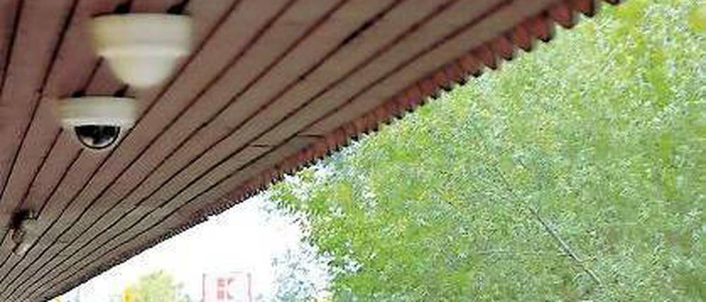 Diebstahlschutz: Sechs Kameras wurden an der Teichseite montiert.