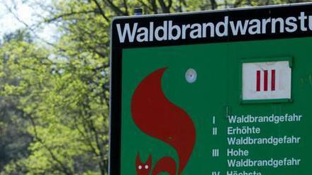 Der Regen der vergangenen Wochen hat die Lage nur vorübergehend entspannen können - inzwischen wächst in Brandenburg wieder bedrohlich die Waldbrandgefahr.