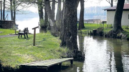 Stiller See. Die Fischerei Köllnitz fängt vor allem Karpfen und Zander.